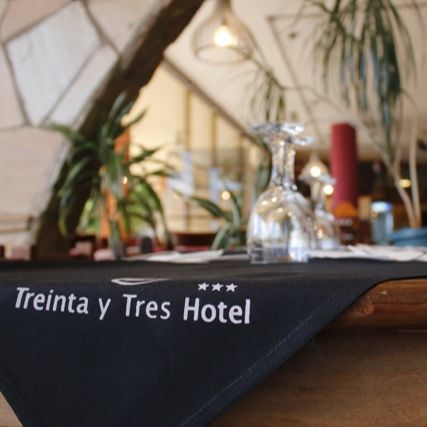 Hotel Treinta y Tres