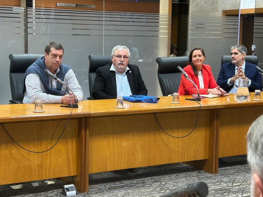Gremiales del Centro y Ciudad Vieja se reunieron en el Parlamento.