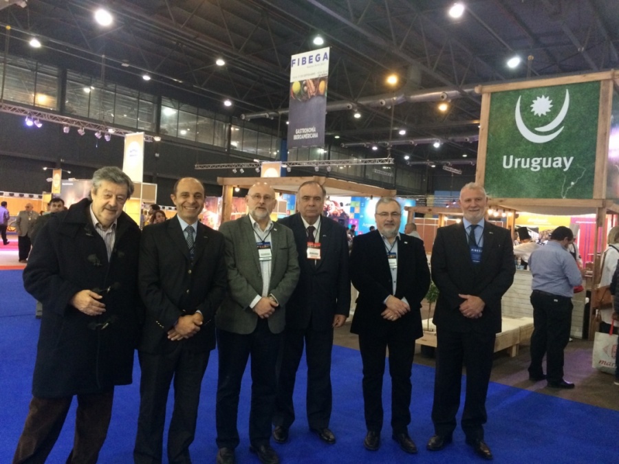 FIBEGA 2017